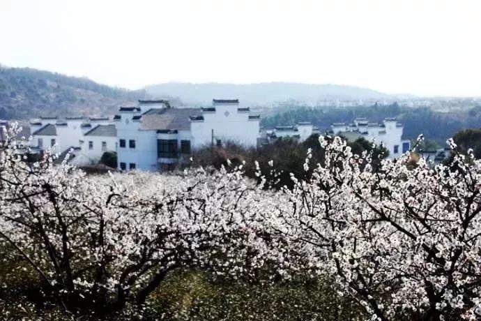 九度和非凡这两个画室哪个好啊？游戏画面